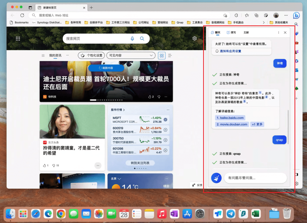 土耳其区NewBing