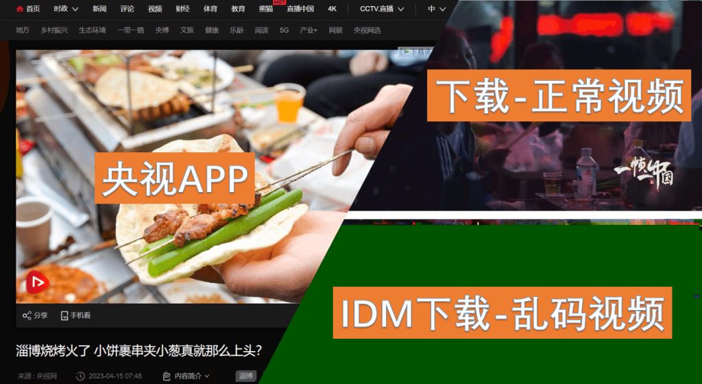 央视视频下载不乱码