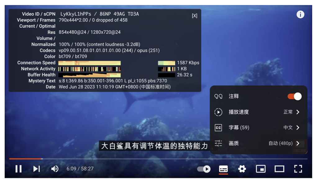 YouTube测速