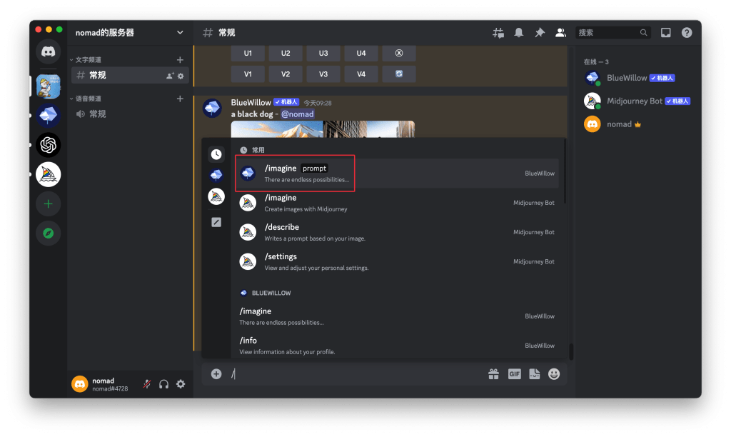 discord - PlayfulSoul discord